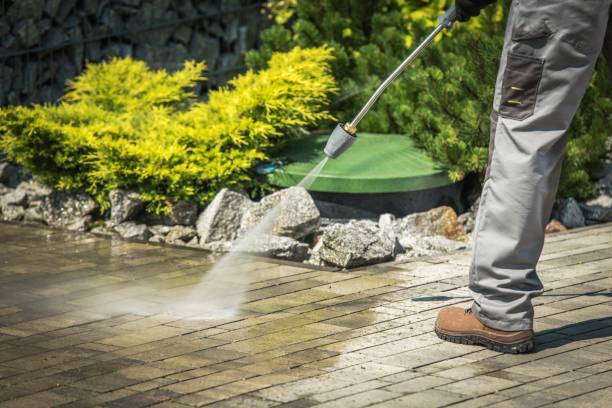 Best Concrete Sealing  in Waynesboro, TN
