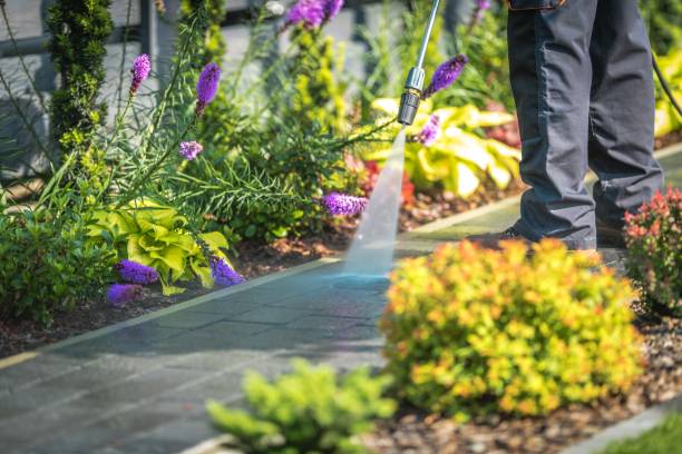Best Animal Enclosure Cleaning  in Waynesboro, TN