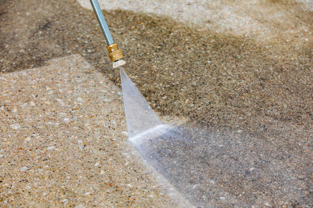 Best Gutter Cleaning  in Waynesboro, TN