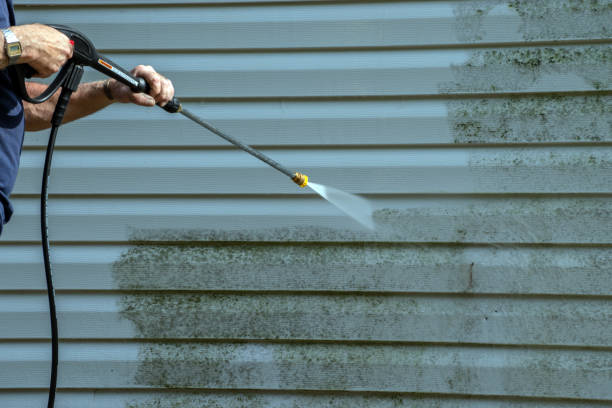 Best Roof Washing  in Waynesboro, TN